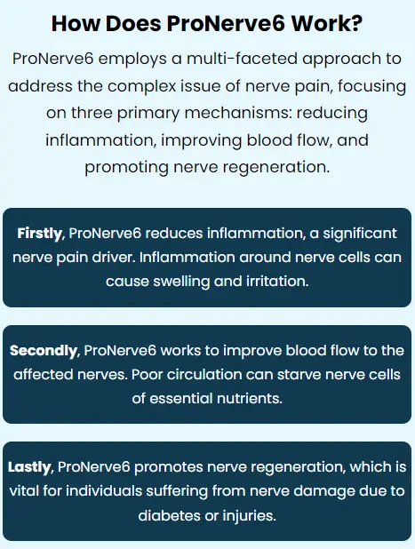 pronerve6